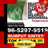 Pusat Rumput Plastik Jumapolo.jpg