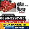 Distributor Rumput Imitasi Pinoh Utara.jpg