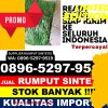 Grosir Rumput Imitasi Kaloran.jpg