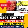 Penjual Rumput Imitasi Tewang Sangalang Garing.jpg