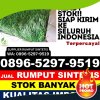 Distributor Rumput Plastik Gedangan.jpg