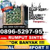 Jual Rumput Sintetis Binamu.jpg