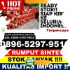 Distributor Rumput Imitasi Pondok Salam.jpg