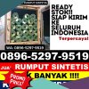 Jual Rumput Palsu Banyuasin I.jpg