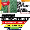 Pusat Rumput Imitasi Long Ikis.jpg