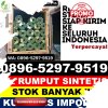 Jual Rumput Sintetis Blubur Limbangan.jpg