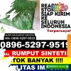 Pusat Rumput Plastik Kabupaten Demak.jpg