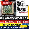 Agen Rumput Palsu Dasuk.jpg