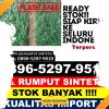 Penjual Rumput Plastik Leuwisari.jpg