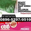 Grosir Rumput Imitasi Karangmalang.jpg