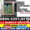 Jual Rumput Palsu Barus.jpg