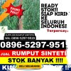 Pusat Rumput Imitasi Lubuk Sikarah.jpg