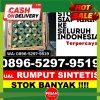 Jual Rumput Sintetis Bonggakaradeng.jpg