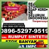 Distributor Rumput Imitasi Pulau Laut.jpg