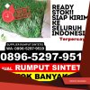 Grosir Rumput Imitasi Kasomalang.jpg