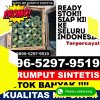 Jual Rumput Palsu Batangan.jpg