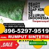 Distributor Rumput Plastik Gunung Sugih.jpg