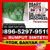 Pusat Rumput Plastik Kabupaten Lampung Tengah.jpg