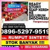 Distributor Rumput Imitasi Puncak Sorik Marapi.jpg