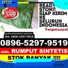 Pusat Rumput Plastik Kabupaten Natuna.jpg