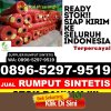 Distributor Rumput Imitasi Pusakanagara.jpg