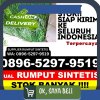 Agen Rumput Palsu Galela Utara.jpg