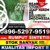 Distributor Rumput Plastik Indra Jaya.jpg