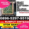 Jual Rumput Sintetis Candi Laras Selatan.jpg