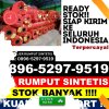 Gudang Rumput Palsu Plakat Tinggi.jpg