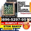 Jual Rumput Palsu Binong.jpg