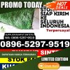 Distributor Rumput Plastik Jatiroto.jpg