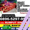 Agen Rumput Plastik Rakit Kulim.jpg