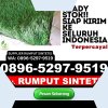 Pusat Rumput Plastik Kabupaten Way Kanan.jpg