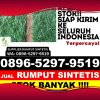 Penjual Rumput Plastik Manduamas.jpg