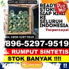 Jual Rumput Palsu Bogor Utara.jpg