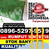 Distributor Rumput Plastik Jenggawah.jpg