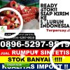 Agen Rumput Plastik Rantau Pandan.jpg