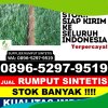 Pusat Rumput Imitasi Medang Deras.jpg