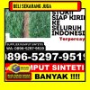 Penjual Rumput Plastik Manyar.jpg