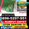 Distributor Rumput Plastik Juntinyuat.jpg