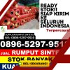 Agen Rumput Plastik Rejoso.jpg