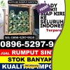 Penjual Rumput Palsu Abung Barat.jpg