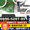 Pusat Rumput Plastik Kampar Timur.jpg