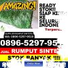 Distributor Rumput Plastik Kabupaten Barito Selatan.jpg