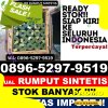 Penjual Rumput Palsu Air Upas.jpg