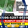 Gudang Rumput Sintetis Kabupaten Solok.jpg