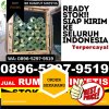 Gudang Rumput Imitasi Banama Tingang.jpg