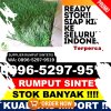 Distributor Rumput Plastik Kabupaten Enrekang.jpg