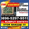 Penjual Rumput Palsu Andam Dewi.jpg