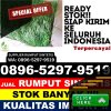 Agen Rumput Palsu Jakenan.jpg